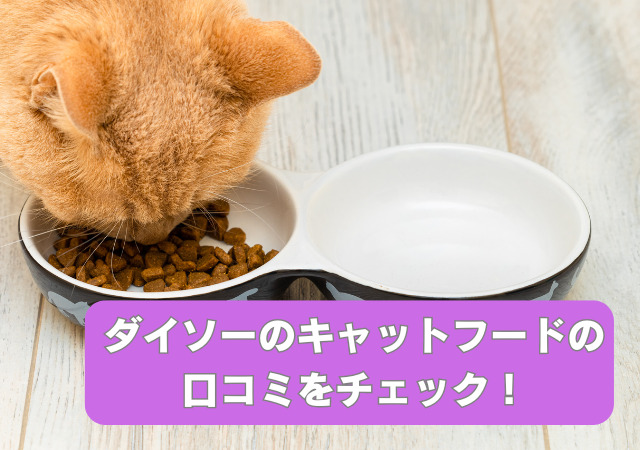 ダイソー,キャットフード,口コミ