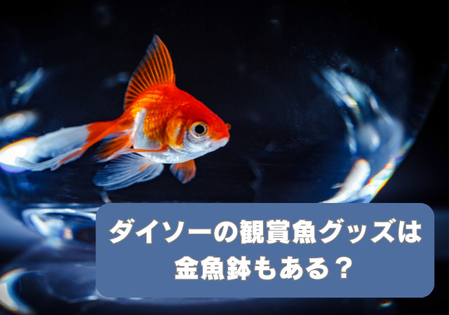 ダイソー,観賞魚,グッズ