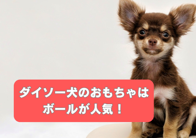 ダイソー,犬,おもちゃ