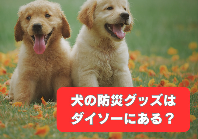 犬,防災グッズ,ダイソー